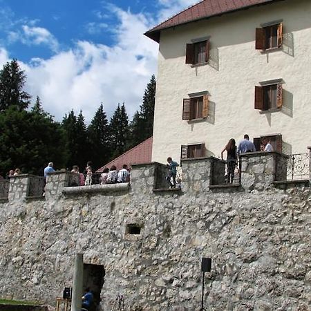 Grad Strmol Hotel Церкле на Горенскем Екстериор снимка